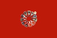 自流井区回收红酒